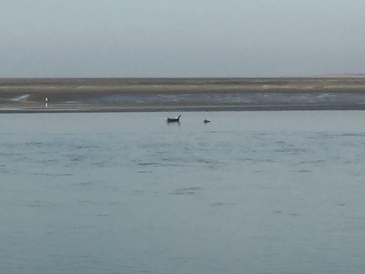 Appartement Baie De Somme, Cayeux Sur Mer, Villa Jacques Mathilde エクステリア 写真